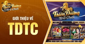 Giới Thiệu Nhà Cái TDTC Uy Tín Nhất