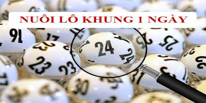 Phân tích xu hướng lô khung là bước quan trọng khi nuôi lô