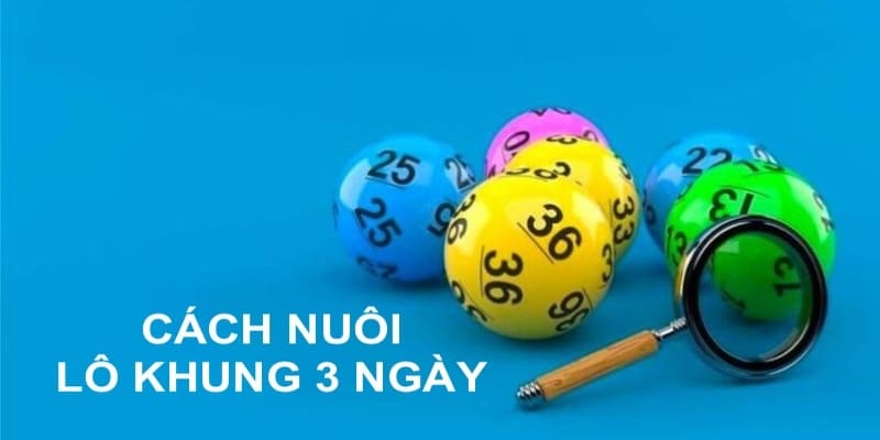 Sử dụng công cụ hỗ trợ để nuôi lô khung 3 ngày